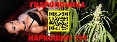 ПСИЛОЦИБИНОВЫЕ ГРИБЫ Абинск