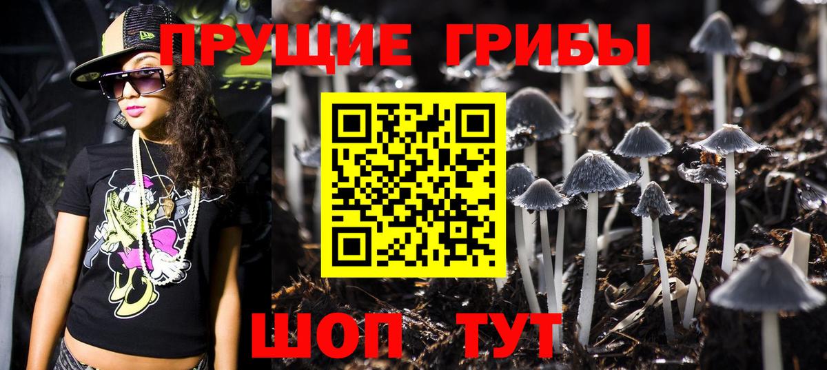 Псилоцибиновые грибы мухоморы  цена наркотик  Алушта  Вход с VPN  Галлюциногенные грибы мухоморы 