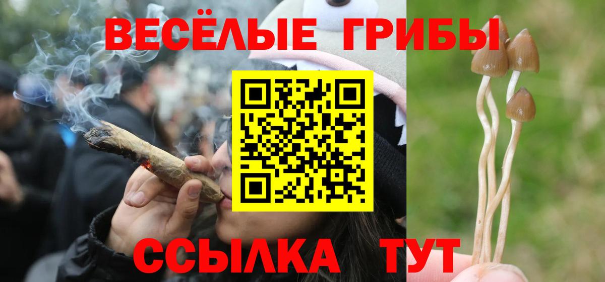 Псилоцибиновые грибы Psilocybine cubensis Алушта